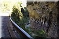 P4270903.JPG
