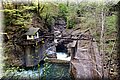 P4270940.JPG