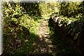 P4270954.JPG