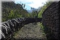 P4270958.JPG