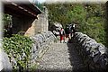 P4270961.JPG