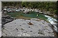 P4270991.JPG