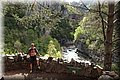 P4271002.JPG