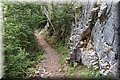 P4271009.JPG