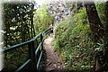 P4271010.JPG