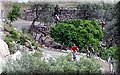 P5031110.JPG