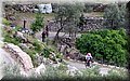 P5031112.JPG