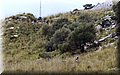 P5031145.JPG