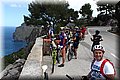 P5031154.JPG