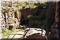 P5031225.JPG
