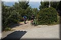 P5091163.JPG