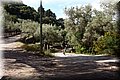 P5091169.JPG