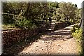 P5091177.JPG