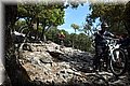 P5101258.JPG