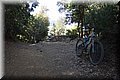 P5171530.JPG