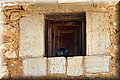 P5171581.JPG