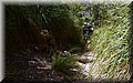 P6070187.JPG