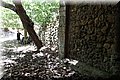 P6070193.JPG