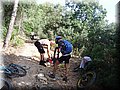 2014_06140006.JPG