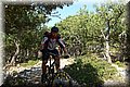P6140399.JPG