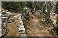 P6140421.JPG