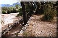 P6140423.JPG