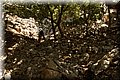 P6200748.JPG