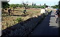 2014_06210006.JPG