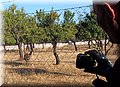 P6210759.JPG
