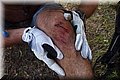 P6210773.JPG