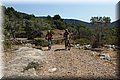 P6210775.JPG