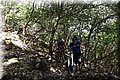 P6210779.JPG