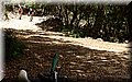 P6210820.JPG