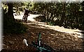 P6210821.JPG