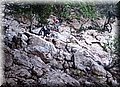 2014_06280136.JPG