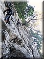 2014_06280141.JPG