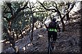 P6280989.JPG