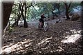 P6281031.JPG