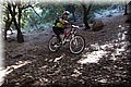P6281037.JPG