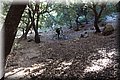 P6281043.JPG