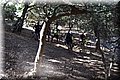 P6281047.JPG