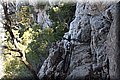 P6281051.JPG