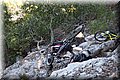 P6281059.JPG
