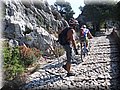 2014_07260007.JPG