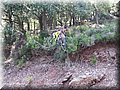 2014_07260035.JPG