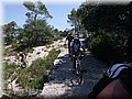 2014_07260044.JPG