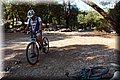 P7261466.JPG