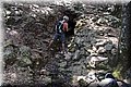 P7261488.JPG