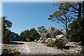 P7261490.JPG