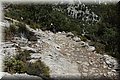 P7261501.JPG